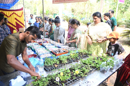 Flower Show